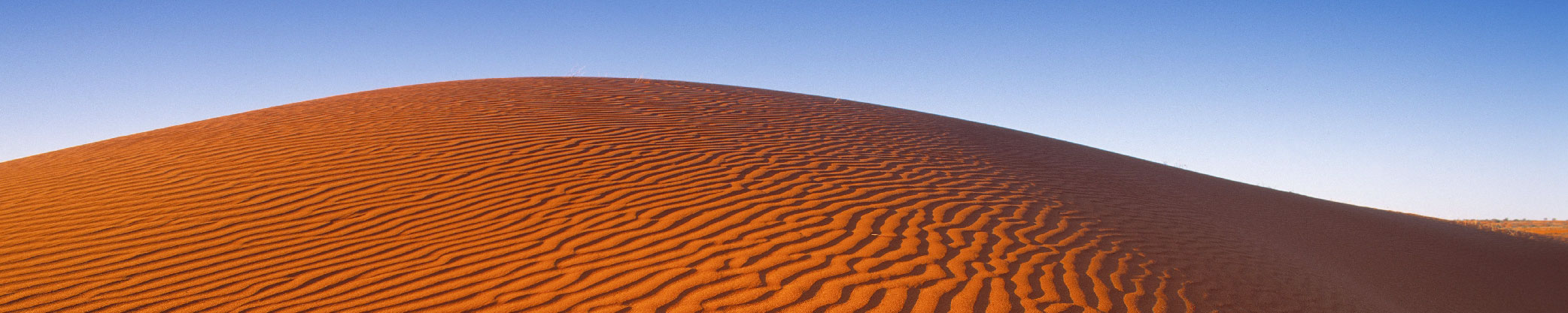 Simpson Desert landscape